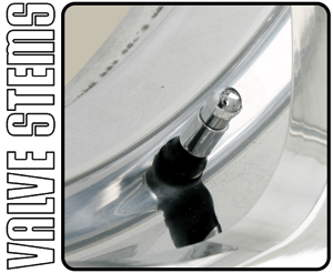 VALVE STEMS